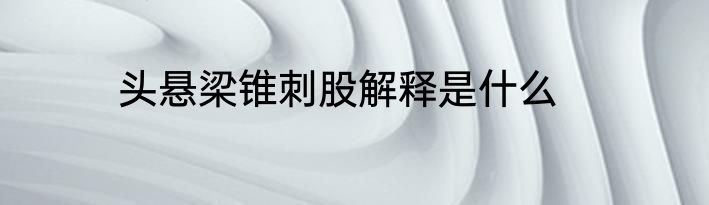 头悬梁锥刺股解释是什么