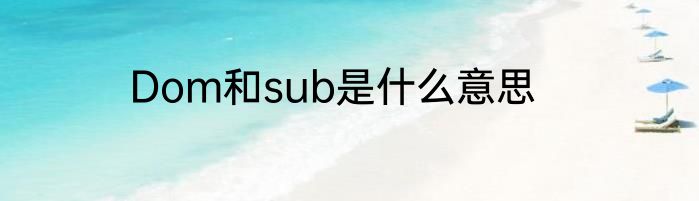Dom和sub是什么意思