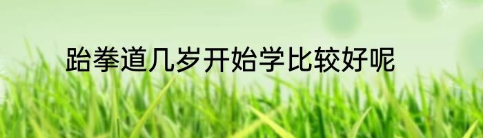 跆拳道几岁开始学比较好呢