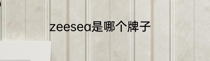 zeesea是哪个牌子