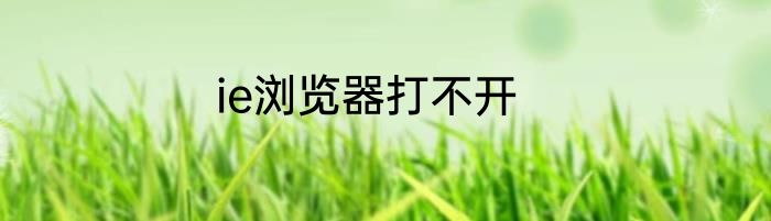 ie浏览器打不开