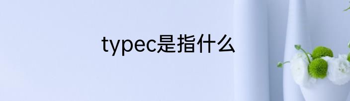 typec是指什么