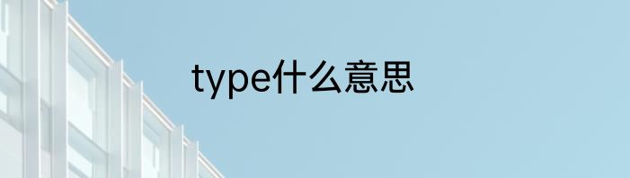 type什么意思