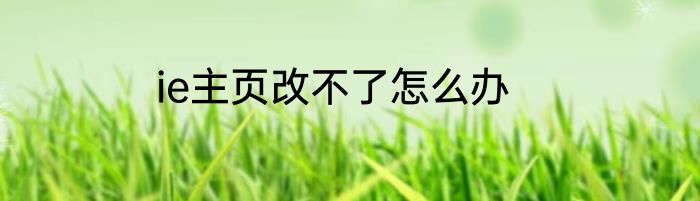 ie主页改不了怎么办
