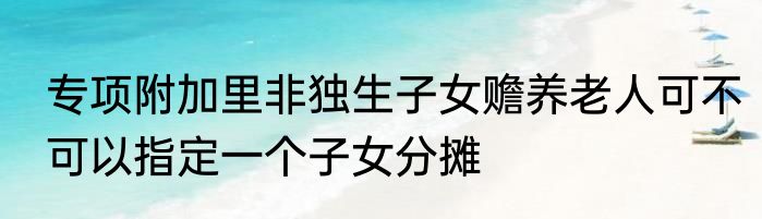 专项附加里非独生子女赡养老人可不可以指定一个子女分摊