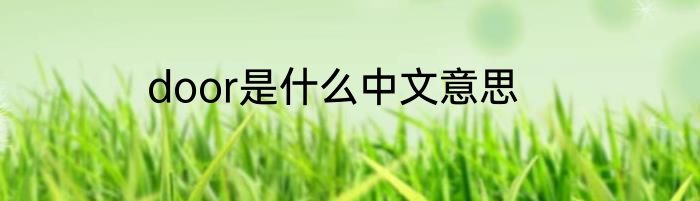 door是什么中文意思