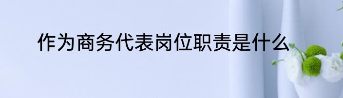 作为商务代表岗位职责是什么