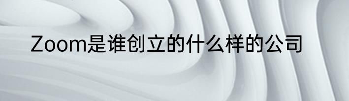 Zoom是谁创立的什么样的公司