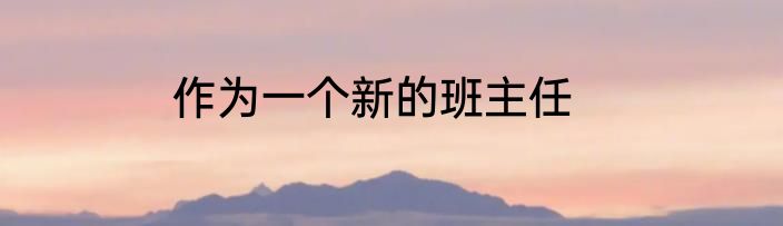 作为一个新的班主任