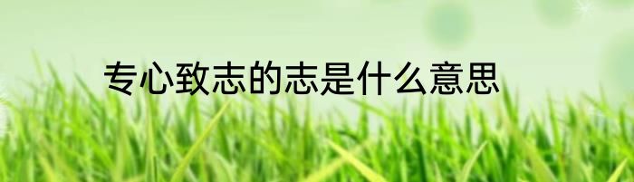专心致志的志是什么意思