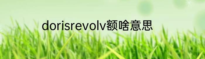 dorisrevolv额啥意思