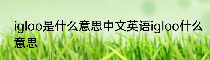 igloo是什么意思中文英语igloo什么意思