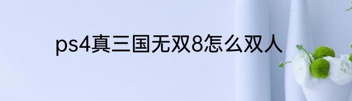 ps4真三国无双8怎么双人