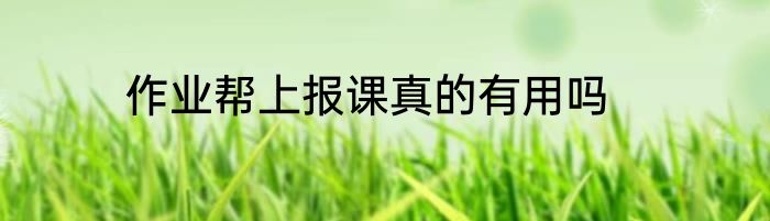 作业帮上报课真的有用吗