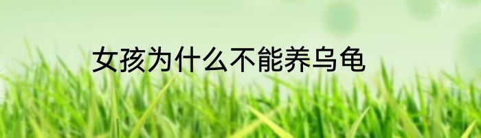 女孩为什么不能养乌龟