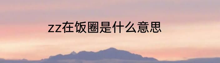 zz在饭圈是什么意思