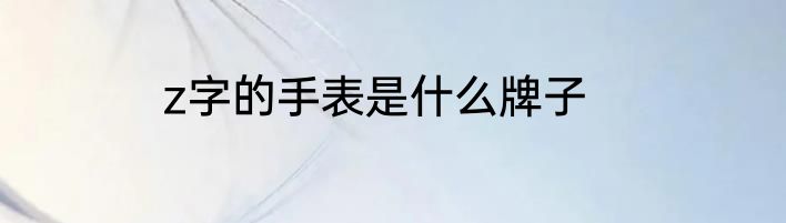 z字的手表是什么牌子