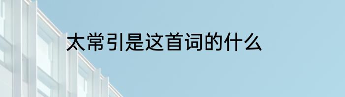 太常引是这首词的什么