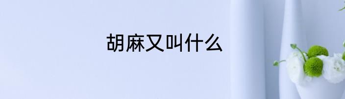 胡麻又叫什么