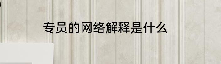 专员的网络解释是什么