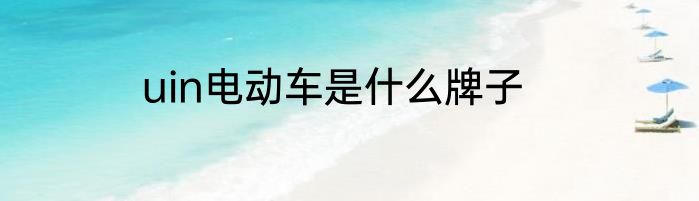 uin电动车是什么牌子