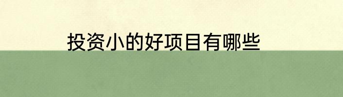 投资小的好项目有哪些