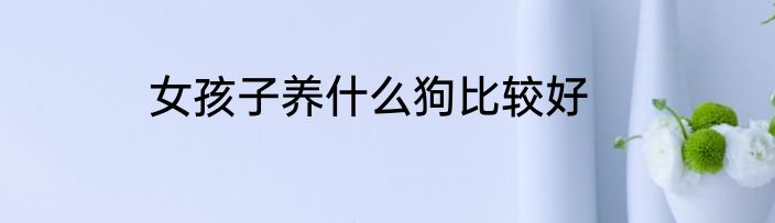 女孩子养什么狗比较好