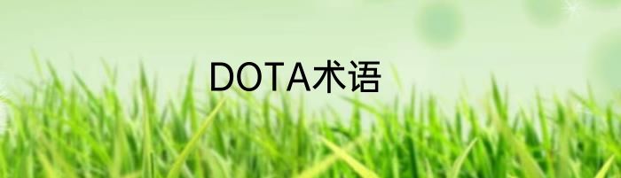 DOTA术语