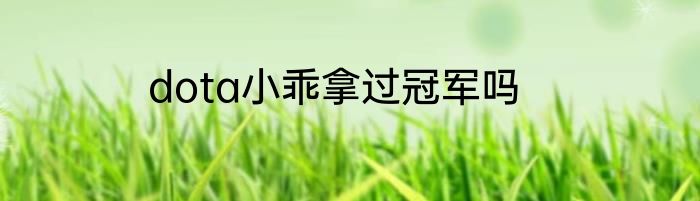 dota小乖拿过冠军吗