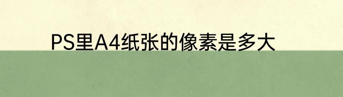 PS里A4纸张的像素是多大