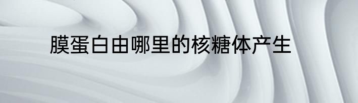 膜蛋白由哪里的核糖体产生