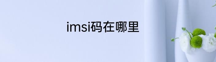 imsi码在哪里