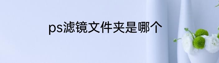 ps滤镜文件夹是哪个