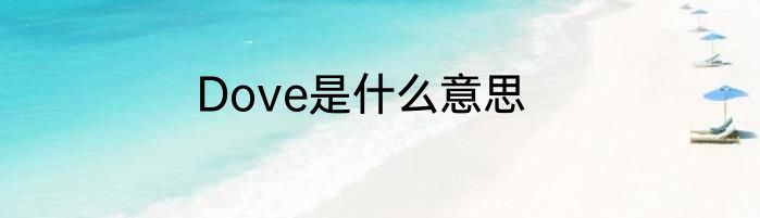 Dove是什么意思