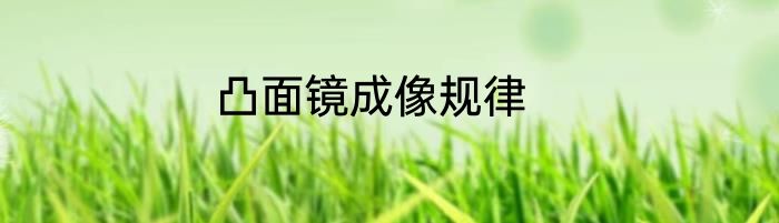凸面镜成像规律