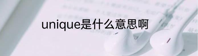 unique是什么意思啊