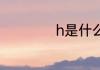 h是什么车牌子的车