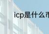 icp是什么币icp币是做什么的