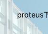 proteus下面有斜线的电容