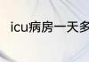 icu病房一天多少钱关于ICU的简介