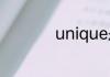 unique是什么意思啊