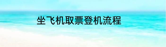 坐飞机取票登机流程