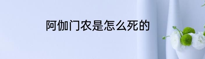 阿伽门农是怎么死的