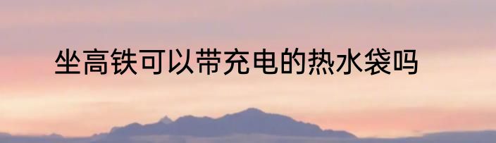 坐高铁可以带充电的热水袋吗