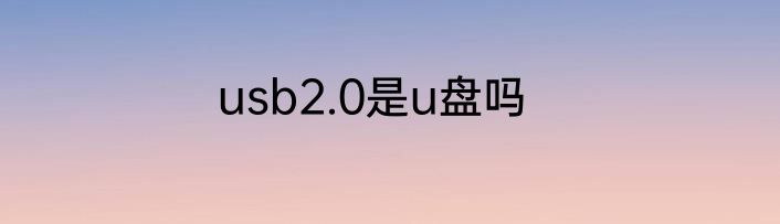 usb2.0是u盘吗