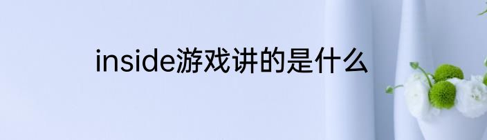 inside游戏讲的是什么