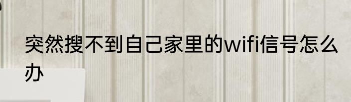 突然搜不到自己家里的wifi信号怎么办