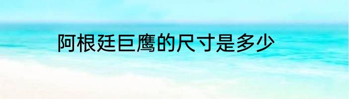 阿根廷巨鹰的尺寸是多少