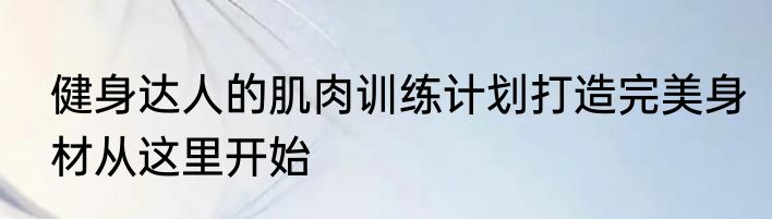 健身达人的肌肉训练计划打造完美身材从这里开始