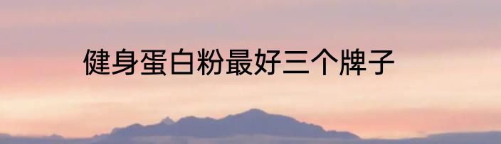 健身蛋白粉最好三个牌子